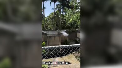 Tragédie v brazilské zoo: Muž vlezl do výběhu lvice a ta ho na místě usmrtila