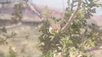 Molly Pills si dává sex pauzu při turistice