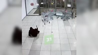 Ostraha v ruském obchodním centru shodila vozíky z eskalátoru a zranila ženu