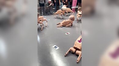 Robotická zvířata za 2 miliony? Beeple šokoval Art Basel psy s hlavami miliardářů