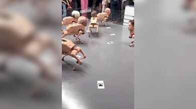 Robotická zvířata za 2 miliony? Beeple šokoval Art Basel psy s hlavami miliardářů