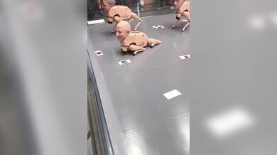 Robotická zvířata za 2 miliony? Beeple šokoval Art Basel psy s hlavami miliardářů