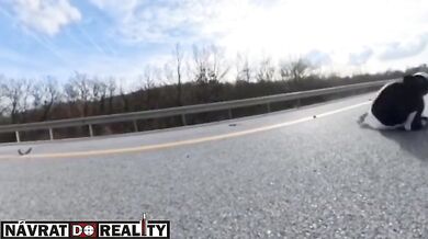 Motocyklista narazil do návěsu