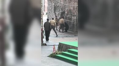 Tančící medvěd na safari parku v Číně zaútočil na cvičitele