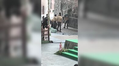 Tančící medvěd na safari parku v Číně zaútočil na cvičitele