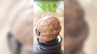 Tajná kamera ukrytá v ořechu: Neuvěřitelný DIY projekt miniaturizované špionážní techniky