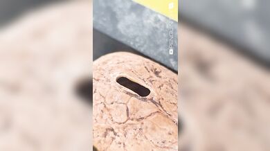 Tajná kamera ukrytá v ořechu: Neuvěřitelný DIY projekt miniaturizované špionážní techniky