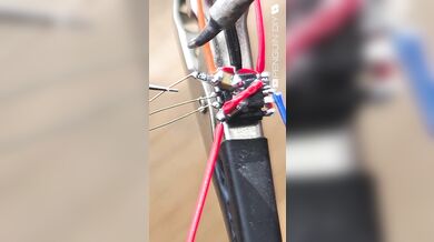 Tajná kamera ukrytá v ořechu: Neuvěřitelný DIY projekt miniaturizované špionážní techniky