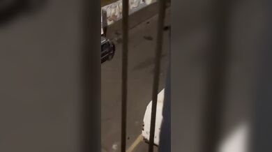 Agresor poškodil několik náhodných vozidel na ulici