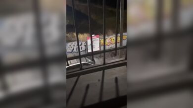 Agresor poškodil několik náhodných vozidel na ulici