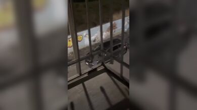 Agresor poškodil několik náhodných vozidel na ulici