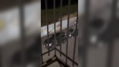 Agresor poškodil několik náhodných vozidel na ulici