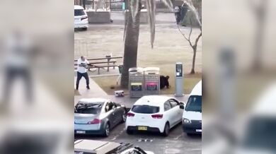 Odvážný kolemjdoucí zneškodnil ozbrojeného útočníka na Bondi Beach a stal se hrdinou