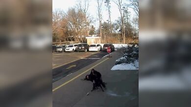 Matka z Ohia byla brutálně napadena volně pobíhajícím psem před základní školou