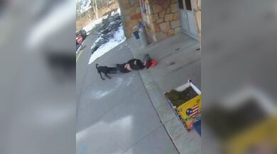 Matka z Ohia byla brutálně napadena volně pobíhajícím psem před základní školou