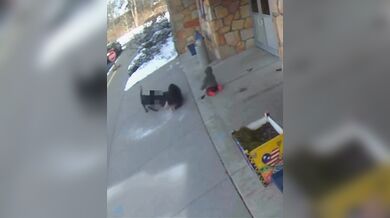 Matka z Ohia byla brutálně napadena volně pobíhajícím psem před základní školou