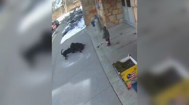 Matka z Ohia byla brutálně napadena volně pobíhajícím psem před základní školou