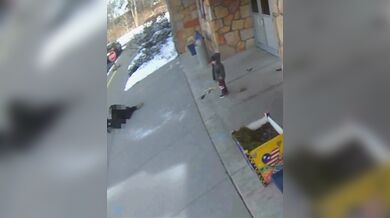 Matka z Ohia byla brutálně napadena volně pobíhajícím psem před základní školou