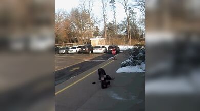 Matka z Ohia byla brutálně napadena volně pobíhajícím psem před základní školou