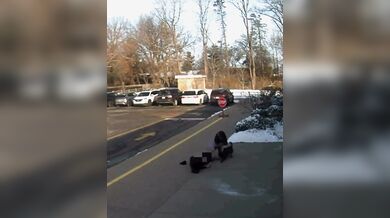 Matka z Ohia byla brutálně napadena volně pobíhajícím psem před základní školou