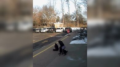 Matka z Ohia byla brutálně napadena volně pobíhajícím psem před základní školou