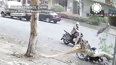 Cyklistu zranila padající větev stromu