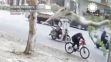 Cyklistu zranila padající větev stromu