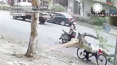 Cyklistu zranila padající větev stromu