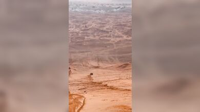 Jak zrušit čtyřkolku za 270 tisíc korun