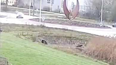 Řidička po nezvládnutém průjezdu kruhovým objezdem skončila ve vodě