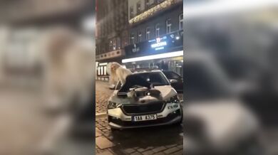 Blondýna řádila na policejním voze v centru Prahy