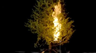 Suchý vánoční stromek může během vteřin proměnit svátky v katastrofu