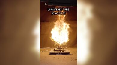 Suchý vánoční stromek může během vteřin proměnit svátky v katastrofu