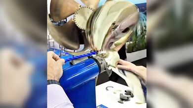 Guillotinová ochrana lodních šroubů: systém Spurs účinně řeže lana i sítě