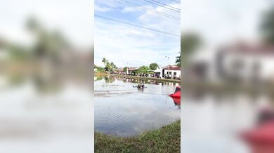 Pilot motorového paraglidu narazil do elektrického vedení a zřítil se do rýžového pole