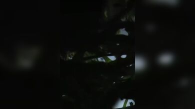 Brutální čelní střet motorkáře s automobilem