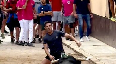 Postavení se rozzuřenému býkovi