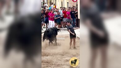 Postavení se rozzuřenému býkovi