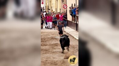 Postavení se rozzuřenému býkovi