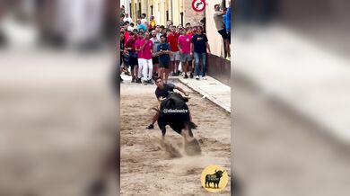 Postavení se rozzuřenému býkovi