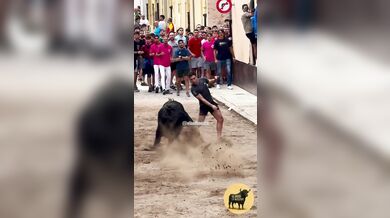 Postavení se rozzuřenému býkovi