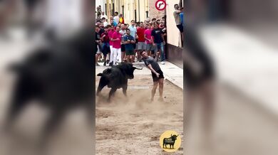 Postavení se rozzuřenému býkovi