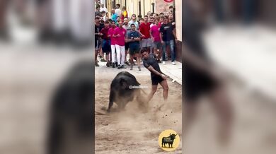 Postavení se rozzuřenému býkovi