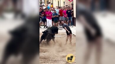 Postavení se rozzuřenému býkovi