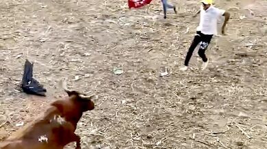 Pokus o přeskočení býka