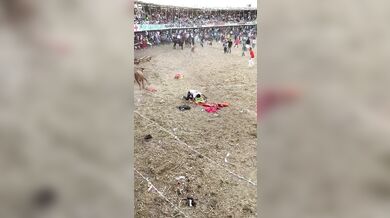 Pokus o přeskočení býka