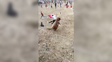 Pokus o přeskočení býka