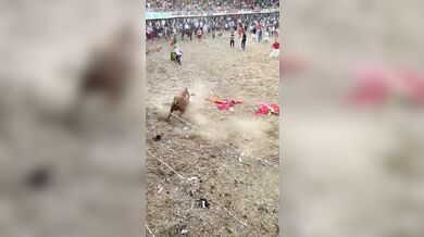 Pokus o přeskočení býka