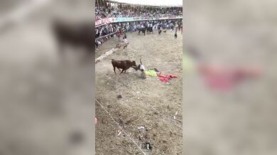 Pokus o přeskočení býka