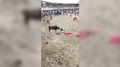 Pokus o přeskočení býka